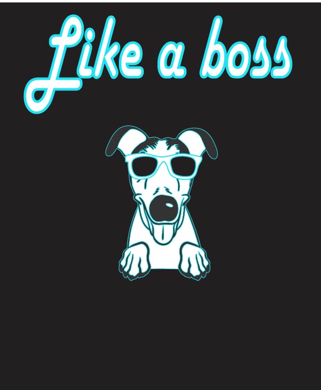 Like A Boss Consulting